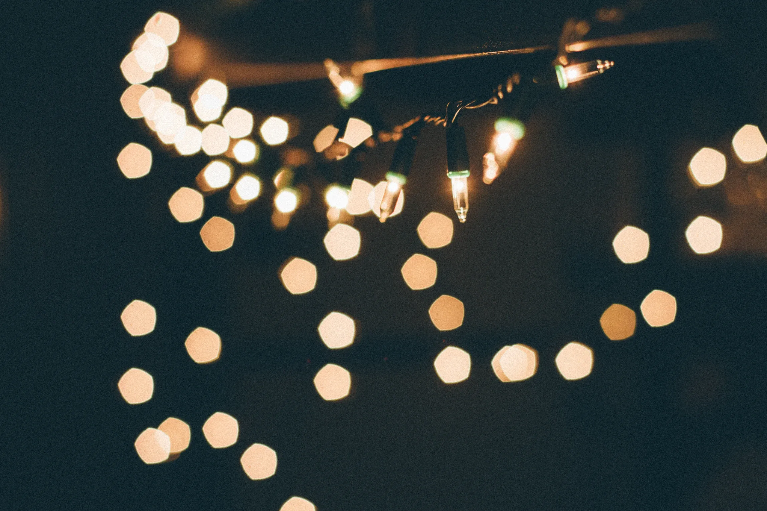 Strings of party lights glowing softly against the night