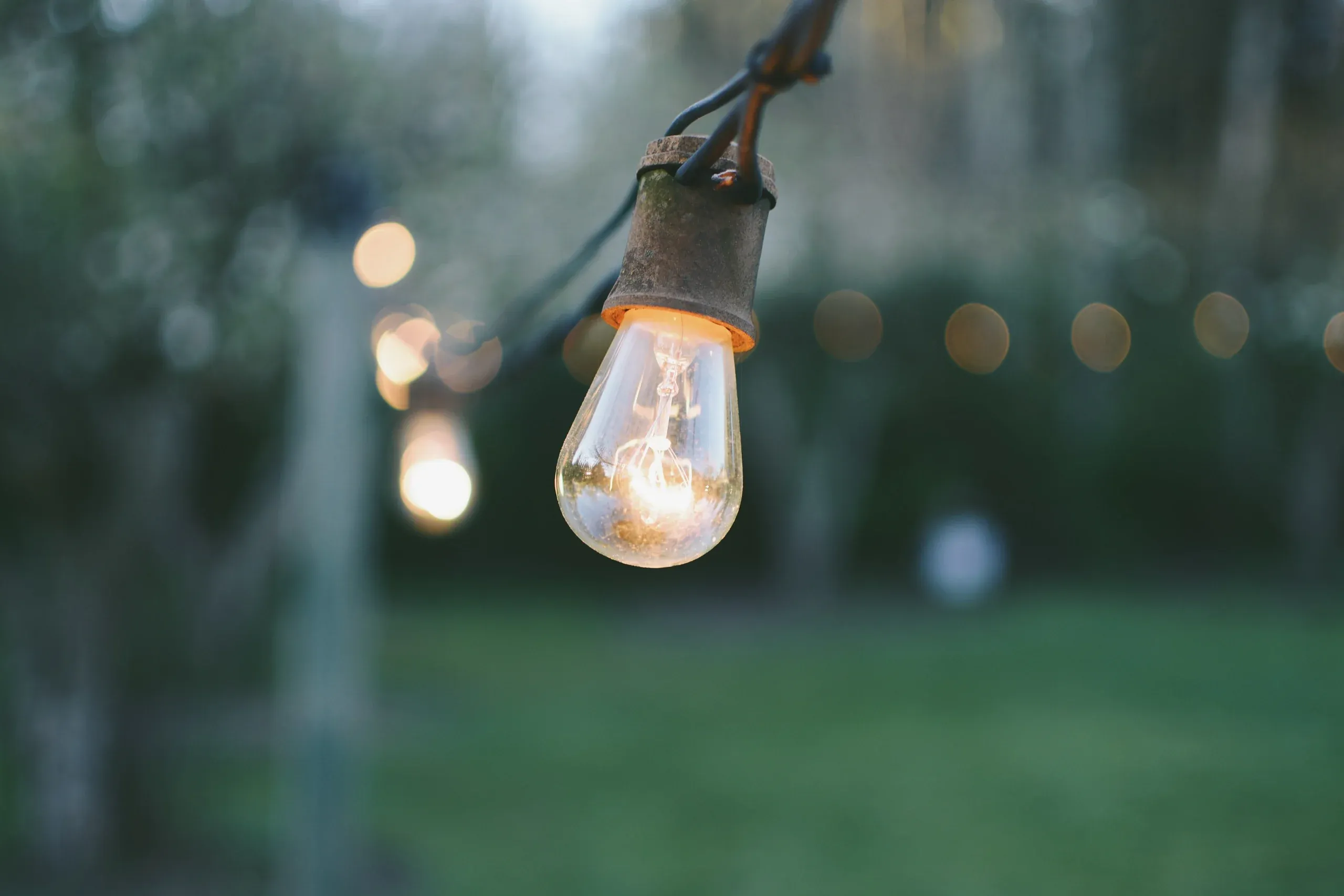A festoon bulb glowing over the lawn at dusk, with more lights soft in the trees beyond