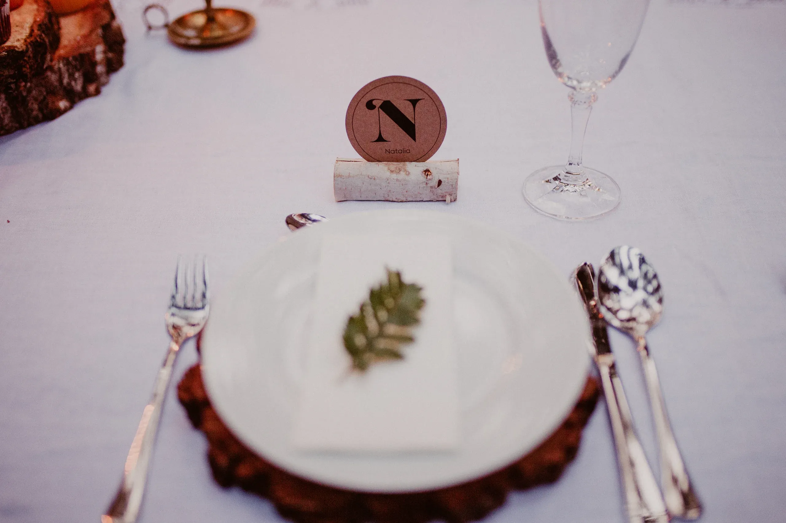 A place setting with a fern leaf on the plate and a round kraft place card on a birch holder